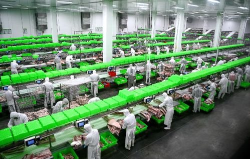 2020，南陽(yáng)城鄉(xiāng)巨變 三起來(lái)戰(zhàn)略如何勁推城市出新出彩